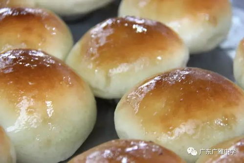 廣雅食堂榮獲食品安全A級認定并開展豐富歌舞活動，打造安全與活力校園環(huán)境